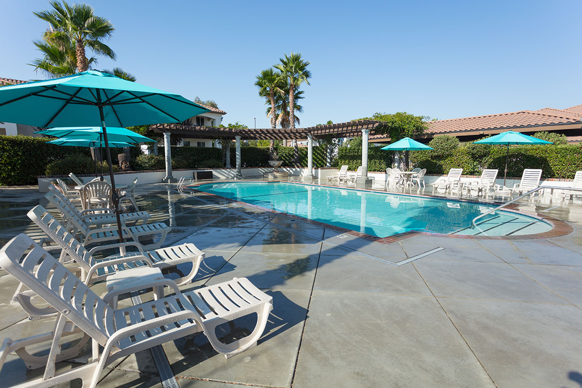Villa Del Rio Pool with Lounge Chairs and Umbrellas - image